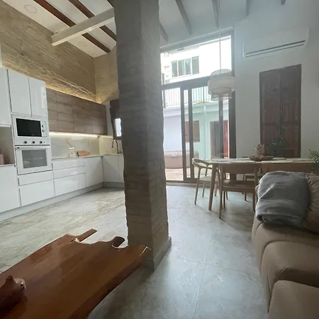 Dream Big With Jacuzzi And Terrace In Ruzafa